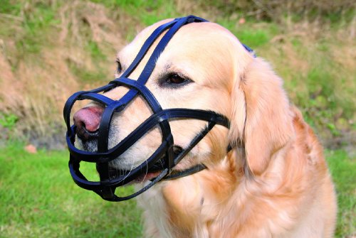 Trixie Muzzle, Bridle Leather, Large, Black