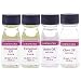 Lorann Oils Flavoring Mix, Spice, 4 Count