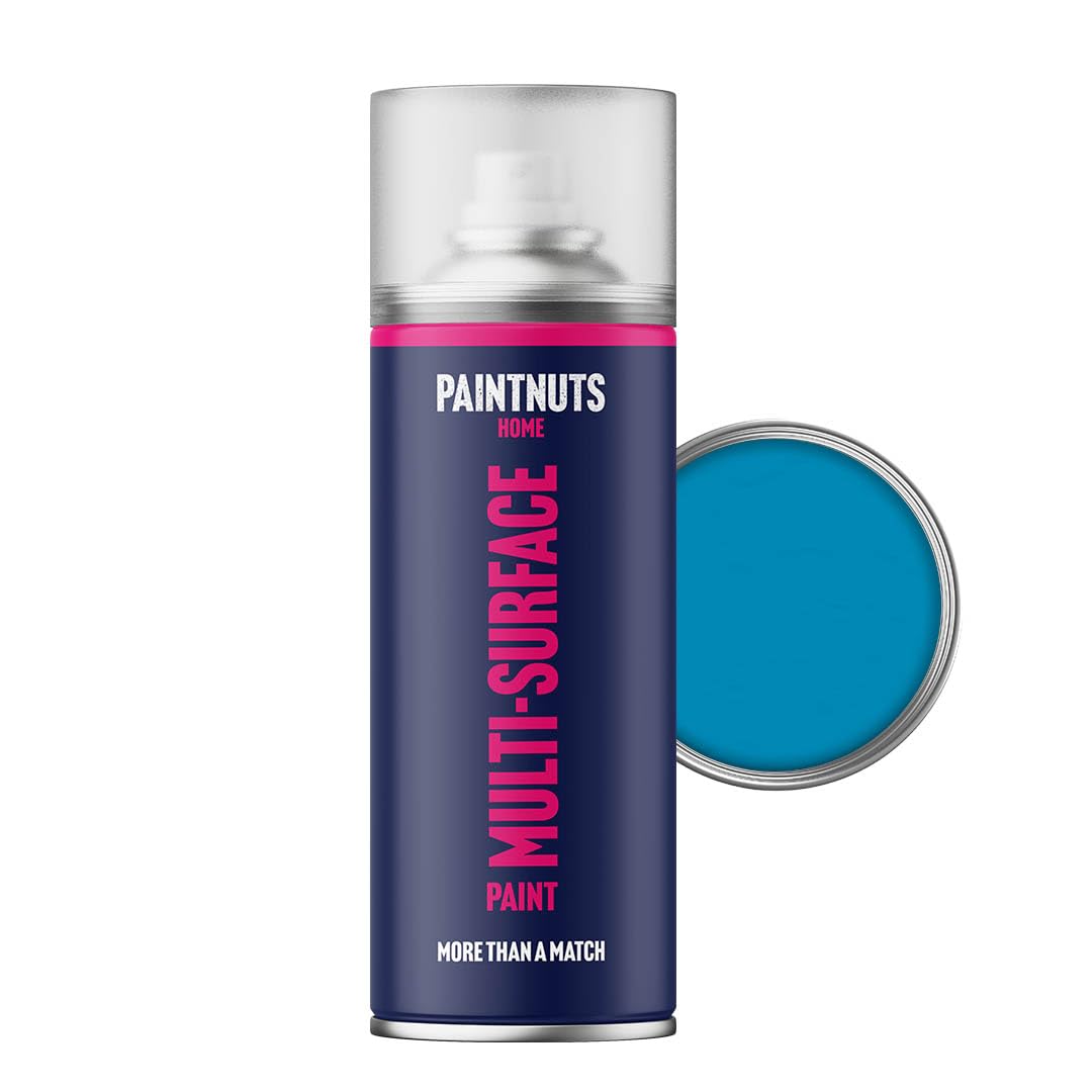 Paintnuts Light Blue (RAL-5012) Rapid Dry Metal Paint, Gloss Finish 400ml Aerosol