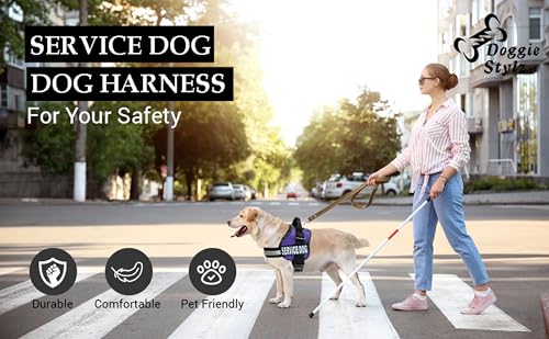 Doggie Stylz Service Dog Vest - Durable and Reflective Service Dog Harness, Adjustable Service Animal Vest for Dogs, XXS, XS, Medium, and Large Sizes - Comfortable Dog Service Vest for Working Dogs