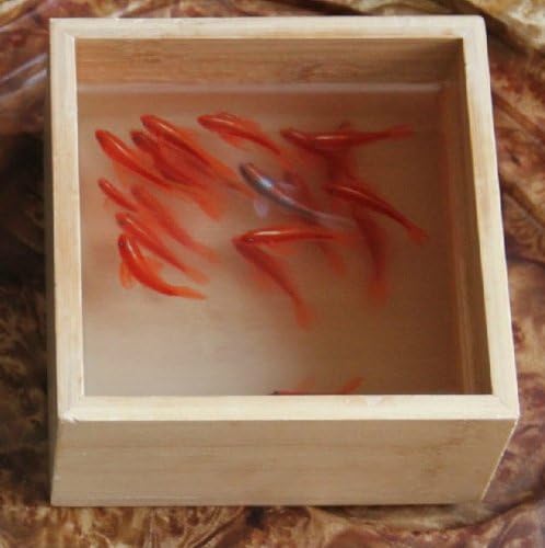 Amazon 樹脂金魚絵 手書き 現代アート アクリル樹脂 ハンドメイド 金魚絵 Resin Goldfish 遊興 置物 オブジェ オンライン通販