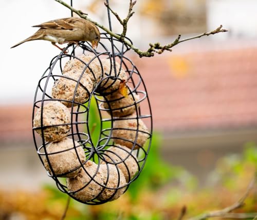 Dehner Natura Premium Meisenknödelring gefüllt, inkl. 10 Meisenknödel ohne Netz, ganzjähriges Wildvogelfutter fettreich / energiereich, hochwertiges Vogelfutter für Wildvögel, Metall, ca. Ø 24.5 cm