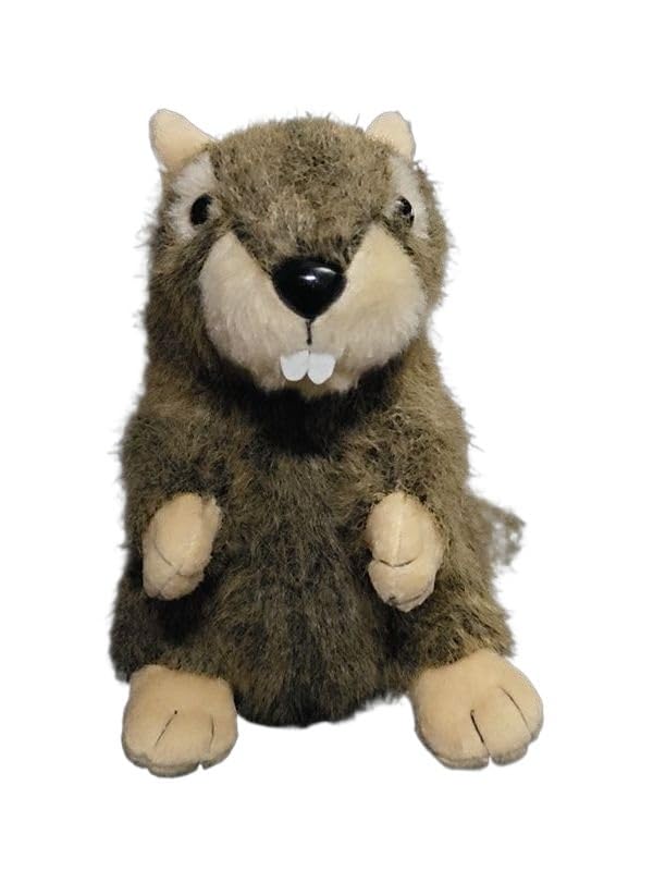Peluche marmotte d'anniversaire : le cadeau adorable pour garçons et filles