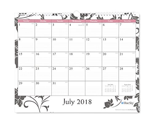 Blue Sky 2018-2019 Academic Year Monthly Wall Calendar, Twin Wire Binding, Ruled Blocks, 15