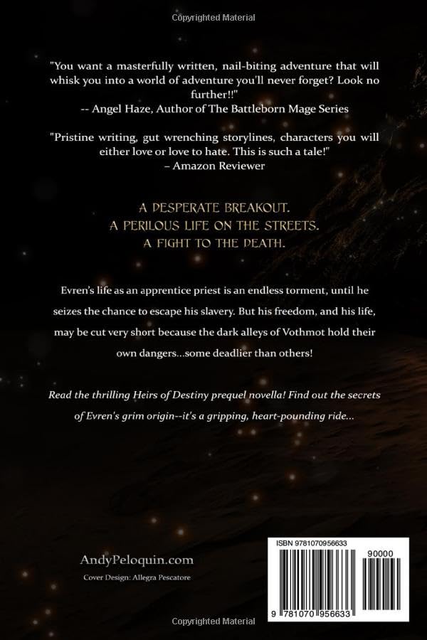 The Renegade Apprentice: An Epic Fantasy Young Adult Adventure (Heirs of Destiny) - Image 2