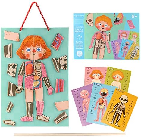 Wondertoys Wooden Human Body Puzzle for Kids – 90 Piece Magnetic Puzzle Educational Human Anatomy Body Puzzles to Learn Body Parts, Organs, Muscles and Bones Perfect Kids Body Puzzle Gift
