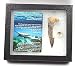 Onchopristis Sawfish Vertebra & Tooth Fossil 16866