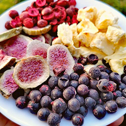 Cassis Lyophilisés | 100% Naturel Sechee Freeze Dried Fruit Sec | Fruits Seche Lyophilisateur | Fruits Secs Myrtille Cassi Blackcurrant | Gefriergetrocknete Früchte Schwarze Johannisbeere ZingyZoo – vue 3