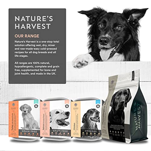 Natures Harvest Complete Hypoallergenic Dog Food â Lachs- und Süßkartoffel-Freefoods©©für wählerische Esser und Hunde mit empfindlichen Mägen | 10x395g | Allergiefreies Hundefutter