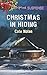Christmas in Hiding (Love Inspired Suspense)