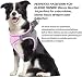 Hundegeschirr Kleine Hunde,Welpengeschirr Katzengeschirr Hunde Geschirr Leuchtend mit Leine,Curli Hundegeschirr Geschirr Hund Welpen Zubehör(Rosa,M)