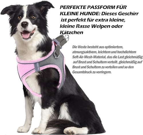 Hundegeschirr Kleine Hunde,Welpengeschirr Katzengeschirr Hunde Geschirr Leuchtend mit Leine,Curli Hundegeschirr Geschirr Hund Welpen Zubehör(Rosa,M)