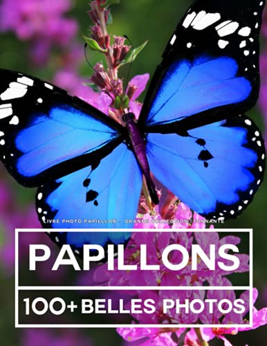 Livre Photo Papillon - Grande Collection Étonnante: 100 Belles Photos Dans Ce Fantastique Livre De Papillons - Pour Enfants Et Adultes