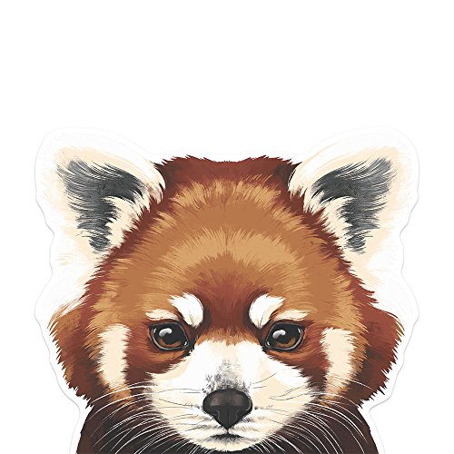 Fincibo 5 X 5 Inch Red Panda Removable Vinyl Decal Stickers For Ipad Macbook Laptop (Or Any Flat Surface) #TOP2