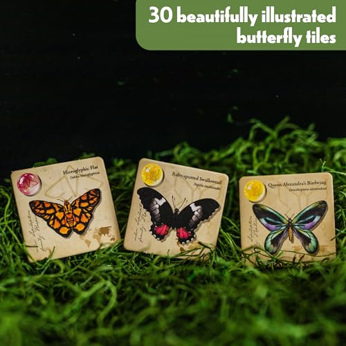 Jewel Box Fluttering Expedition Expansion miniatura 3