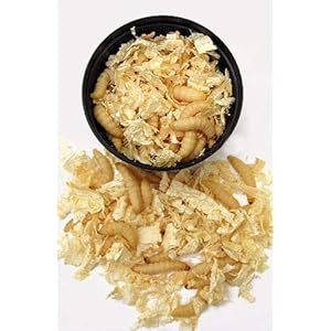 waxworm larvae 500 [5 x 100 (150g)] 20mm – 30mm