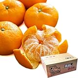 あんみつ姫 みかん 蔵出し あんみつ姫みかん 佐賀県産 大和 かんきつ 柑橘 温州みかん 甘い 高糖度 約12度 フルーツ 果物 果実 くだもの お取り寄せ 自宅用 家庭用 大容量 ケース 箱売り [あんみつ姫（ケース）赤秀]【BO】 ([あんみつ姫（赤秀ケース）ML])