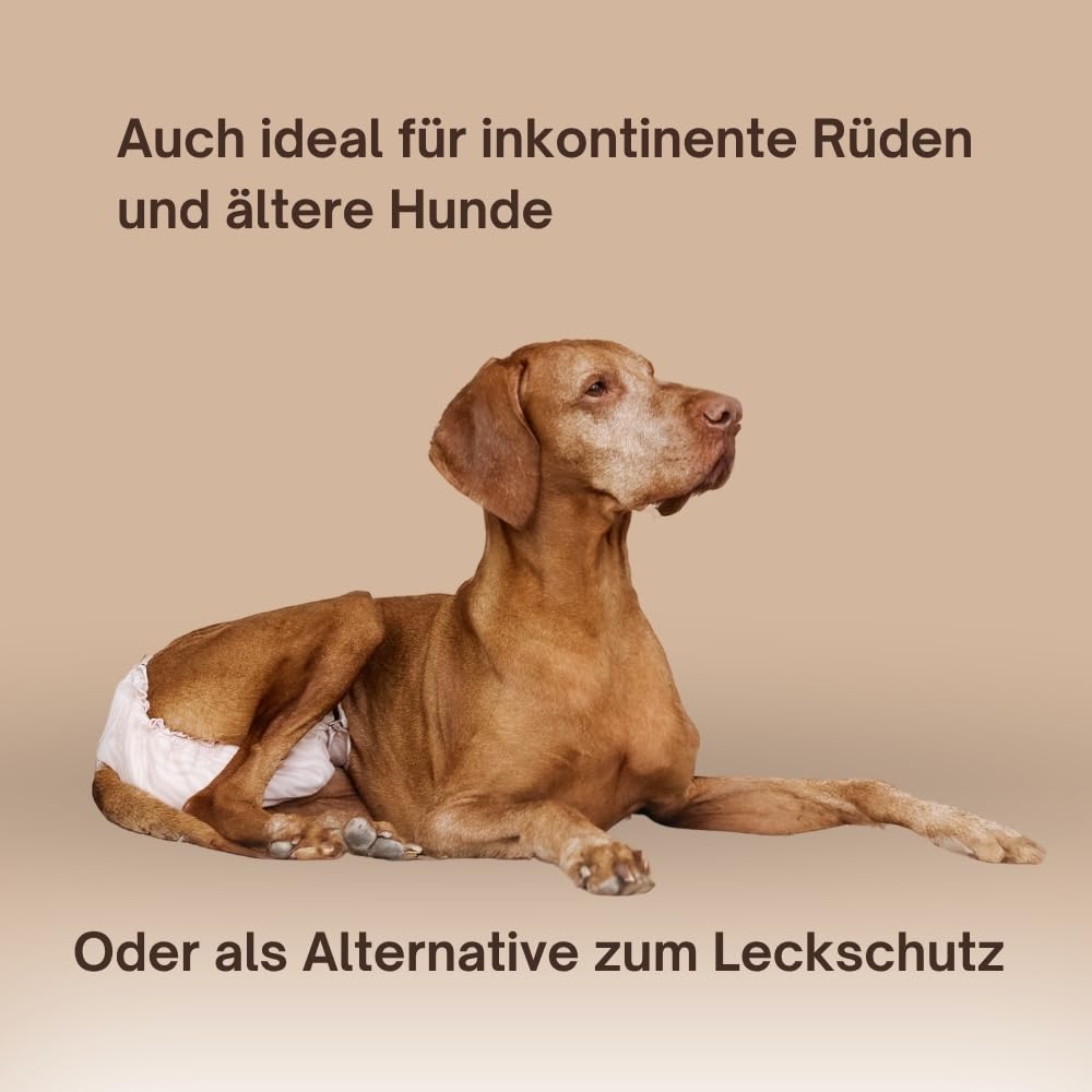 Holly Premium Hundewindeln für Hündinnen und Rüden 2er-Set, Läufigkeitshose mit Klettverschluss waschbar bei Inkontinenz, Läufigkeit - Oeko-TEX Baumwolle, Hunde- windel weich & atmungsaktiv