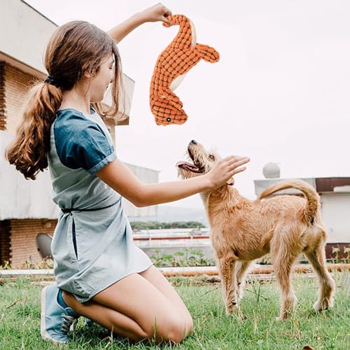 Wnddle Hund Kauspielzeug mit Dino Design, 2Pack Spielzeug für Hunde, Interaktives Hundespielzeug mit eingebauten Quietscher gegen Langenweile