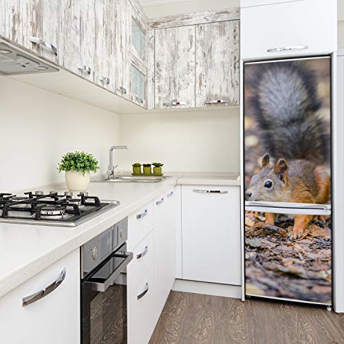 Vinilo para nevera de 60x180 cm autoadhesivo con diseño de ardilla para cocina 4