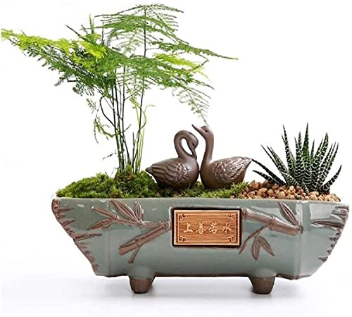 Pot à bonsaï rectangulaire pour plantes vertes et succulentes d'intérieur - 4