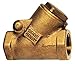 Swing Y Check Valve, Bronze, 1 In., FNPT