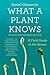 What a Plant Knows: A Field Guide to the Senses: Updated and Expanded Edition