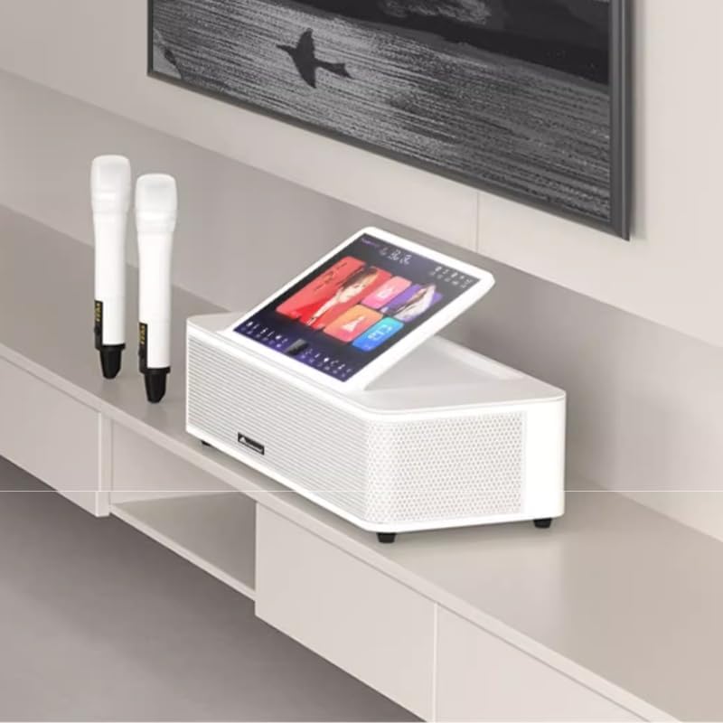 Sistema de karaoke de pantalla táctil de 14 pulgadas con 2 micrófonos inalámbricos, descargas de canciones en la nube de alta velocidad, compatible con KTV, MP3, Bluetooth, salida HDMI y