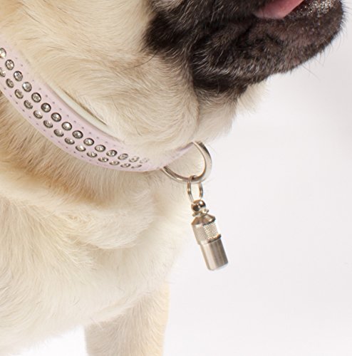 Aribari 2 x Adressanhänger für Hunde und Katzen, Halsbandanhänger, Namensschild auch für kleine Tiere geeignet, Anhänger zur Tierkennzeichnung, aus Metall und wasserdicht