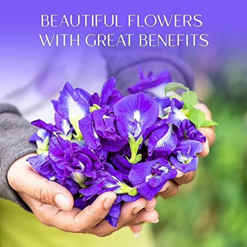 35 Butterfly Pea Flower Seeds - Hoa Dau Biec - Blue Butterfly Pea Vine Seeds #TOP1