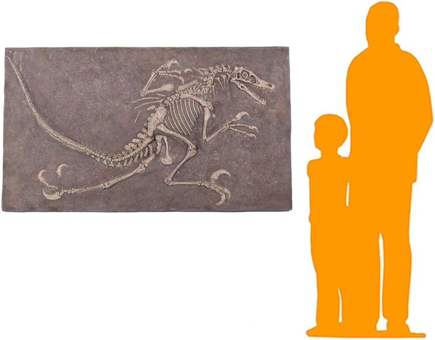 LM Treasures Velociraptor Dinosaur Fossil Life Size Statue