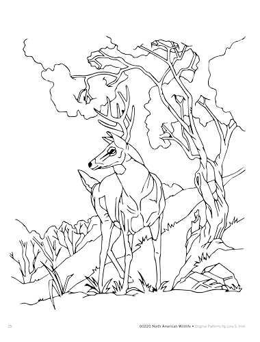 North American Wildlife Line Art Patterns for Carving, Pyrography & Crafts (Fox Chapel Publishing) 21 Original Designs by Lora Irish - Bear, Moose, Wolves, Deer, Buffalo, Coyote, and More - Image 3