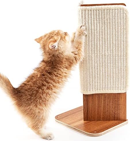 Pearl's Ragdolls's Amazon Page