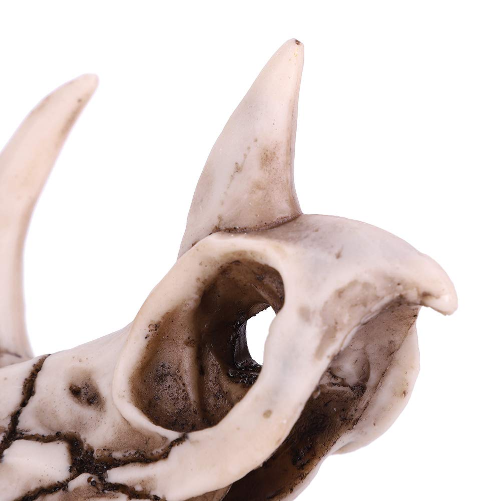 Qcwwy Dinosaurier-Schädel-Statue, Lebensechte Tierskulptur, Figur, Lehr-Skelett-Modell, Feine Verarbeitung, Desktop-Höhlendekoration, Ornament für Zuhause, Bücherregal, 17 X 10 cm