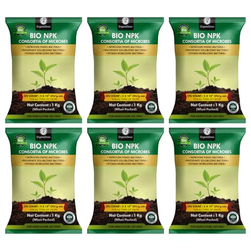 OrganicDews Bio NPK consortia (5x10^7 CFU/g) Bio Inoculum Fertilizer (6 Kg) for Plants - Soil Fertility, Faster Plant Growth and Increases the Yield 6 Kg