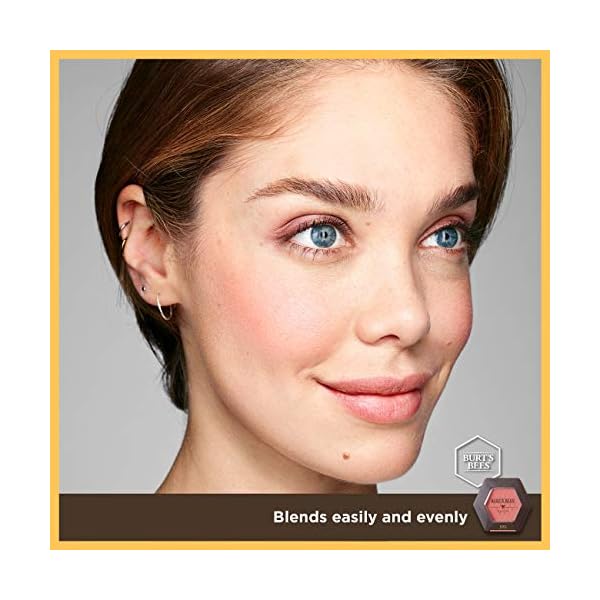 Burt's Bees 100% Natural Origin Blush with Vitamin E, Shy Pink - 0.19 Ounce