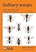 Solitary Wasps (Naturalists' Handbooks, 3)