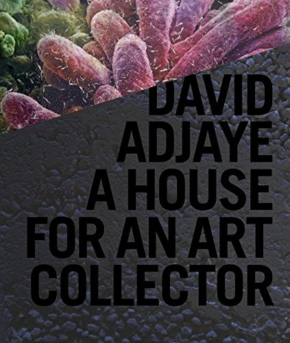 David Adjaye A House For An Art Collector Hardcover March