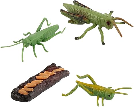 Amazon Generic リアルな昆虫バッタ カタツムリ動物の成長ライフサイクルフィギュアプレイセット子供就学前のイマジネーションおもちゃロールプレイをテーマにしたパーティー Style 1 プラモデル 通販
