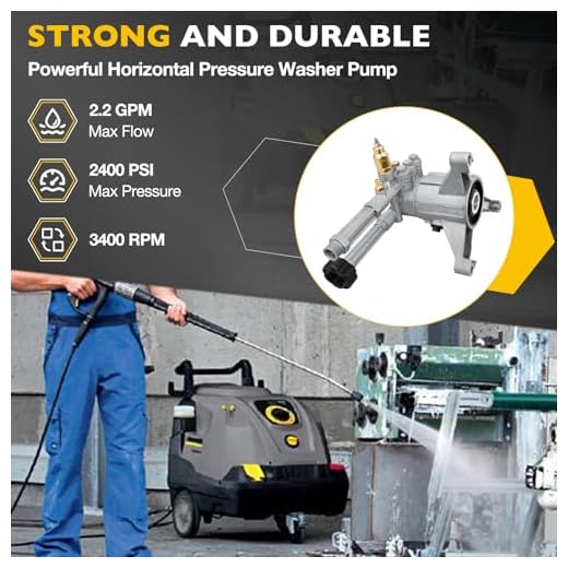 RMW22G24-EZ-SX High Pressure Washer Pump