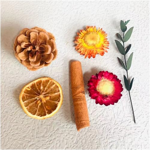 8 Boxes Dried Flowers and Fruits DIY Kit for Home Decor - All-in-One Natural Craft Set for Resin Art, Candles, Jewelry Making, Scrapbooking, Gift Wrapping (Dried Fruits)