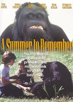 DVD A Summer to Remember Book