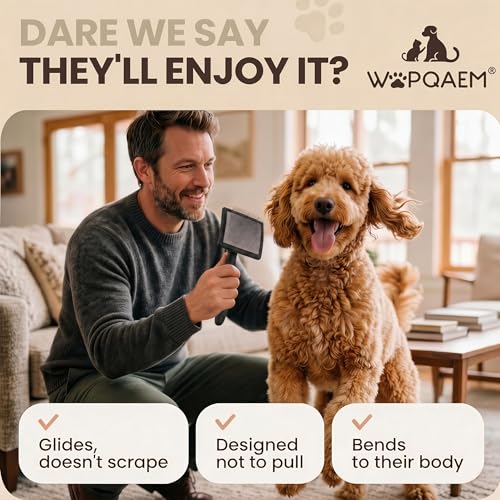 Image of 3 PCS Long Pin Wooden Slicker Brush and Comb Set for Dogs, Large | Dog Grooming Brush kits for Poodles, Goldendoodles & Golden Retrievers, Daily Detangling to Prevent Matting. Black