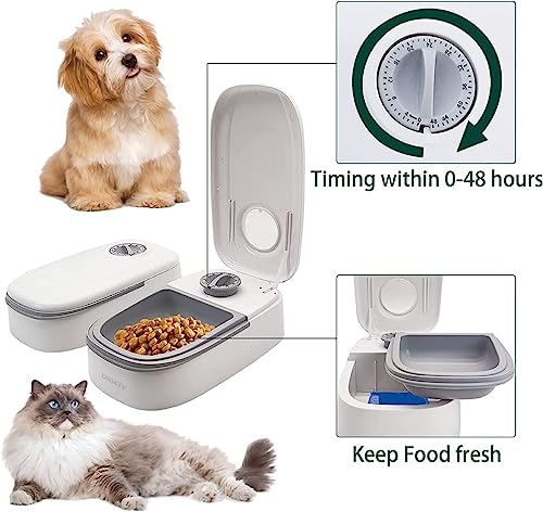 Image of Convenient and Durable: Dog Bone Shaped Stainless Steel Food and Water Bowl with Foldable Silicon Mat for Small Dogs, Puppies, and Cats - Anti Spill, Anti Skid Design (2 Rev)
