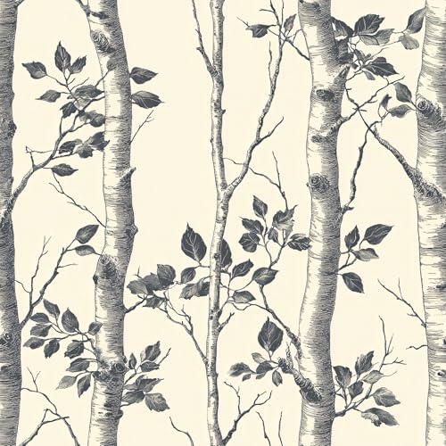 LaiTique Birch Tree Wallpaper – Hand-Drawn Forest Peel and Stick