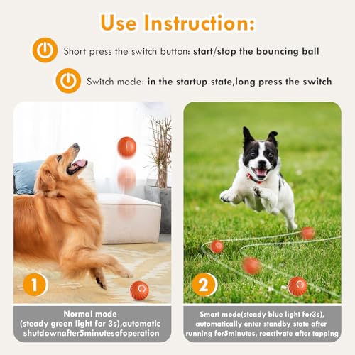 Gerbala hundespielzeug Ball, Selbstrollender Hund, Interaktives Hundespielzeug Mit USB-Ladekabel, Interaktives Hunde Ball Spielzeug für langeweile drinnen draußen (B)