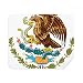 Mexico National Emblem Country Cleaning Cloth Screen Cleaner 2pcs Suede Fabric