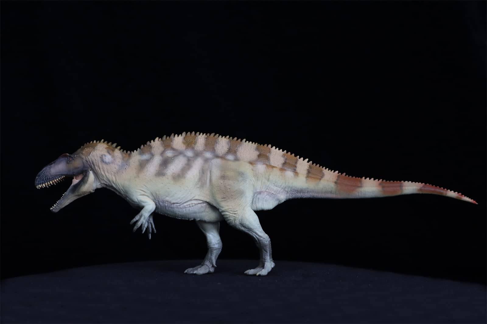 Amazon.co.jp: PNSO 61 フェルガス アクロカントサウルス フィギュア