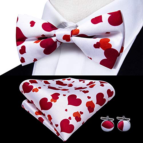 Image of Dubulle Suspender and Bow Tie for Men Paisley Solid Mens Suit Braces Pretied Bowtie and Handkerchief Cufflinks Formal Wedding