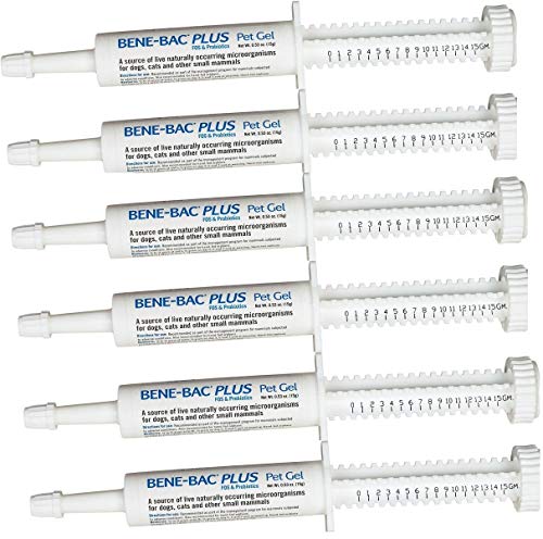 6 Pack Bene-Bac Plus Gel, 15g Syringe 6 -Pack